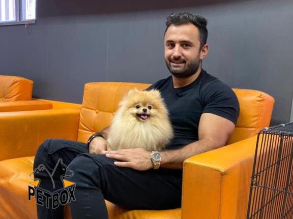 فروش توله ی پامرانین  صورت خرسی