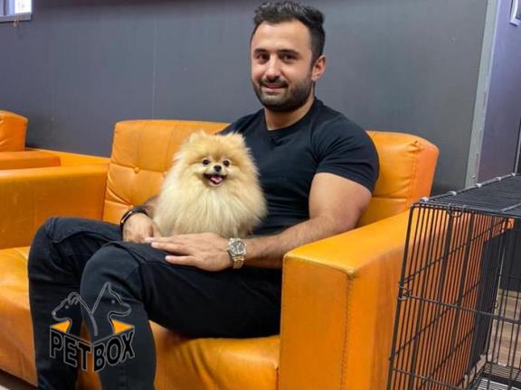 فروش توله ی پامرانین کد 10