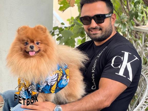 فروش توله ی پامرانین کد 15