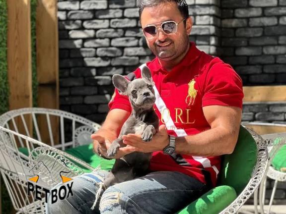 فروش توله ی فرنچ بولداگ